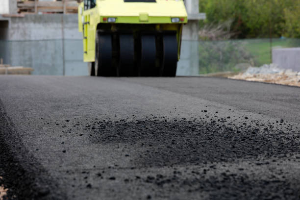 Best Best Driveway Pavers  in Olivarez, TX