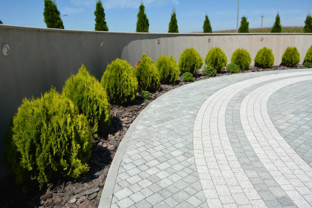 Best Residential Driveway Paver Services  in Olivarez, TX