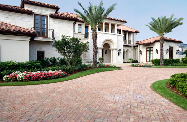 Best Driveway Paving Contractor  in Olivarez, TX