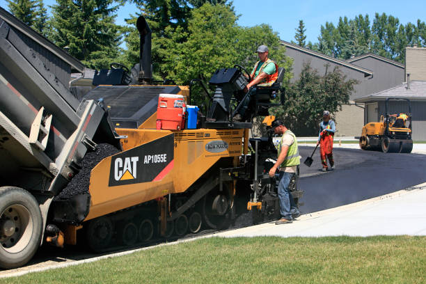 Best Driveway Pavers Near Me  in Olivarez, TX
